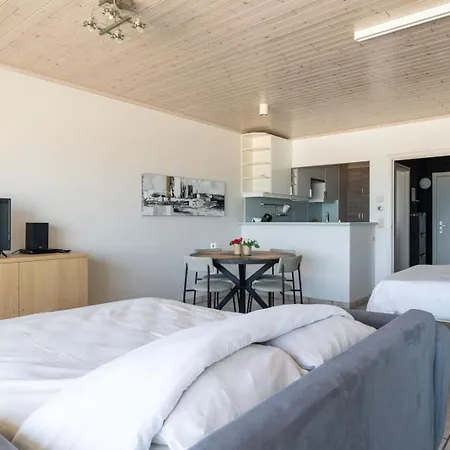Lägenhet Bel Air - Cosy With Amazing Seaview T6 Oostende
